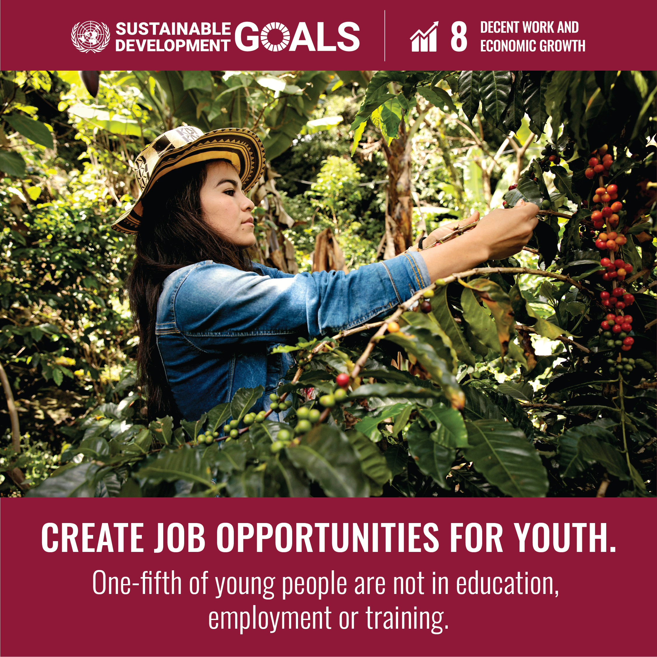 SDG 8 Decent Work and Economic Growth